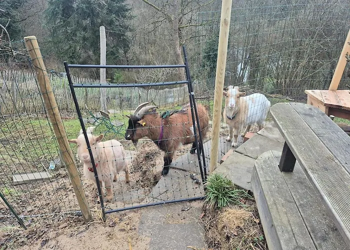 Schwedenhaus In Dom wakacyjny